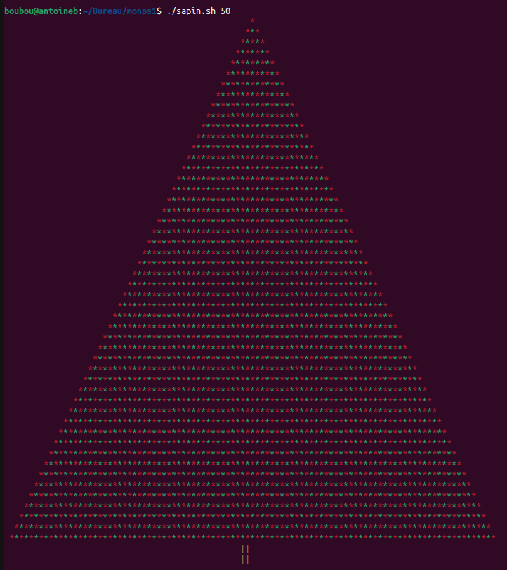 sapinavecarg.png