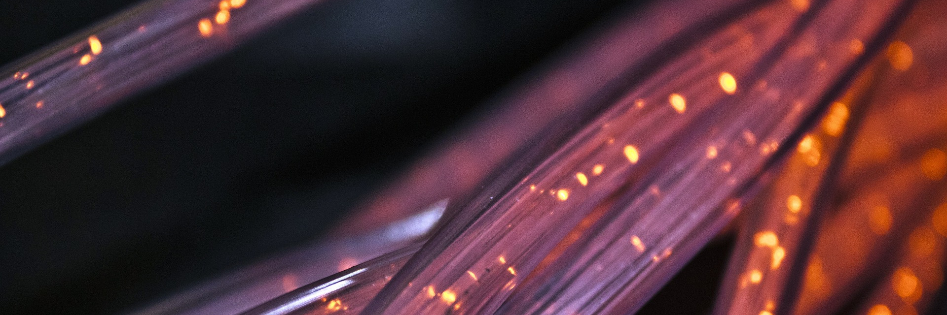 Photographie montrant des câbles de fibre optique