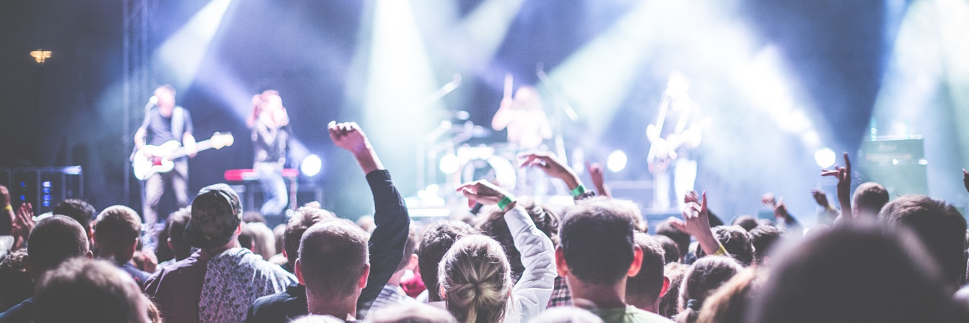 Photographie montrant le public d'un concert